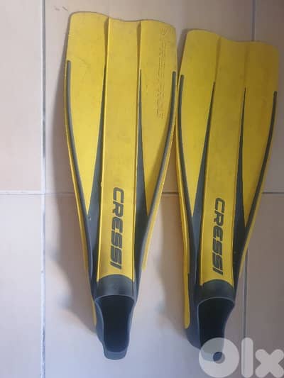 diving fins