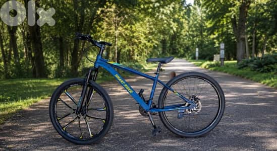 Mountain Bike for Sale — $200