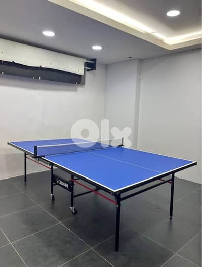 Indoor Table Tennis (Ping Pong Table) – Chiodi | Made in India