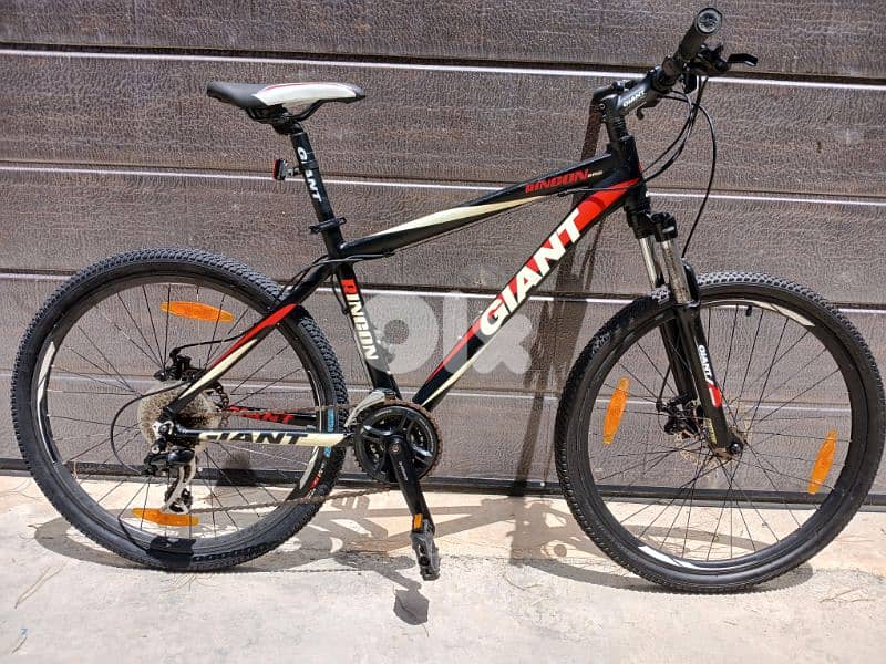 Giant Rincon 6