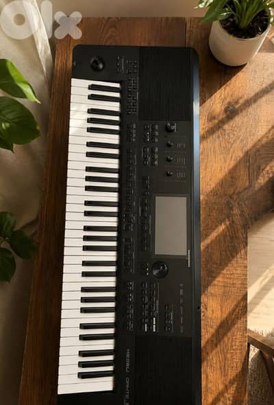 Medeli Dante Zen Oriental Keyboard Arranger