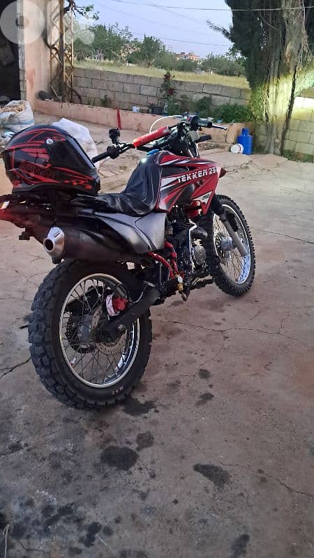 tekin 10