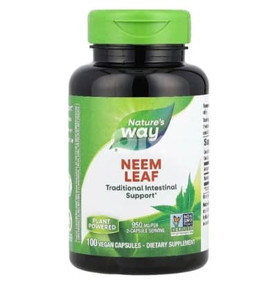 neem leaf