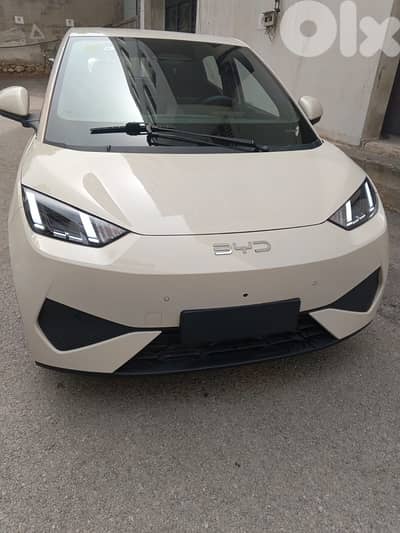 BYD Seagull 2025