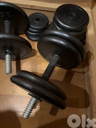 Dumbells 43kg