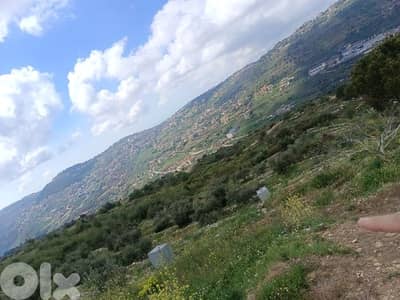 ارض ٤٥٠٠م٢ في بطلون قضاء عاليه بسعر مغري