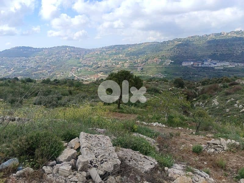 ارض ٤٥٠٠م٢ في بطلون قضاء عاليه بسعر مغري 3