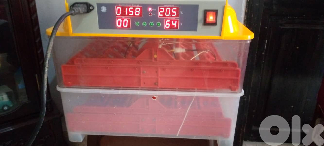 فقاسة اوتوماتيك ٩٦ بيضة بسعر ٣٠ بيضة 1