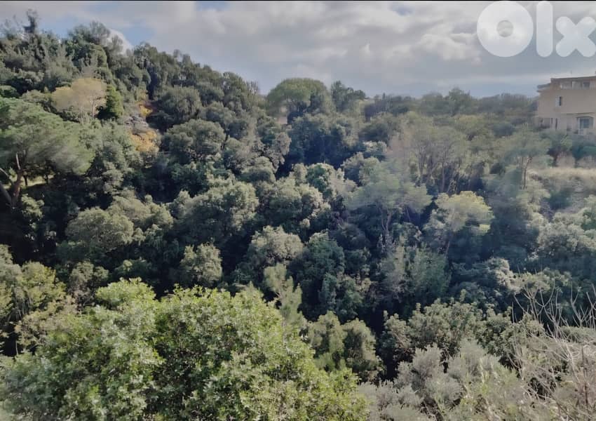 Land for sale in Jeita/ Mountain view 1