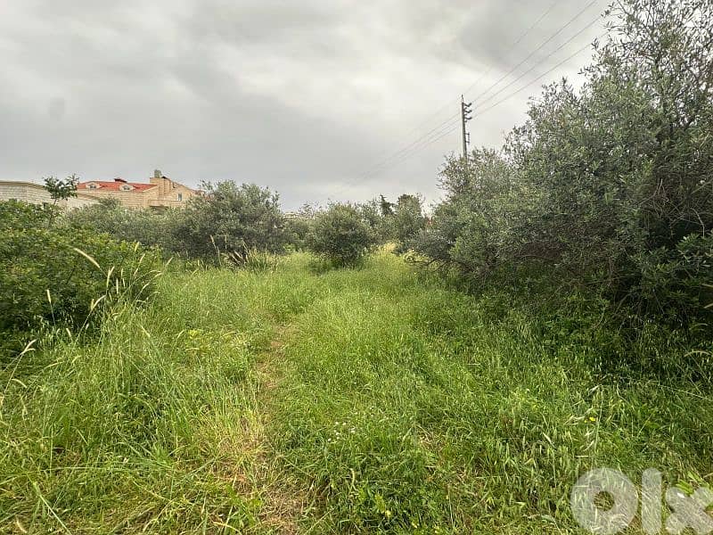 Land for sale in Amchit 1146m² ONLY for 220K في عمشيت 2