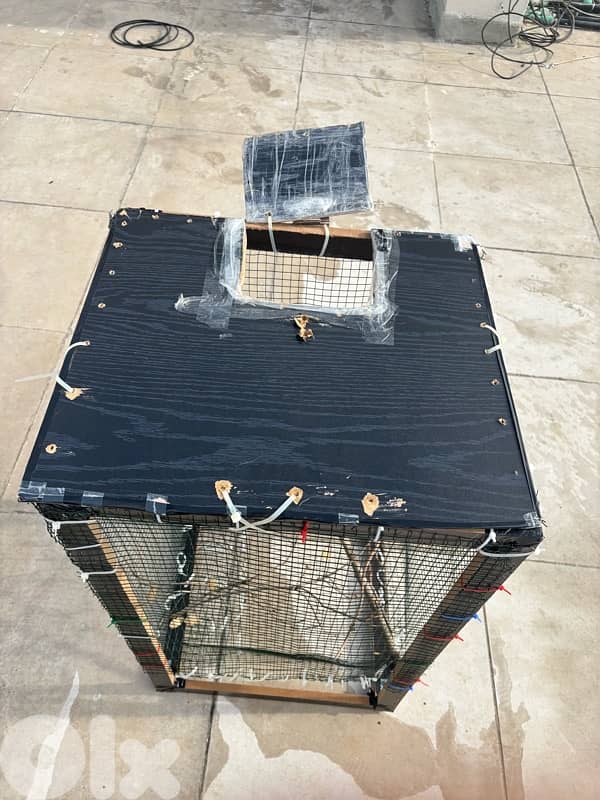 New Bird cage 2