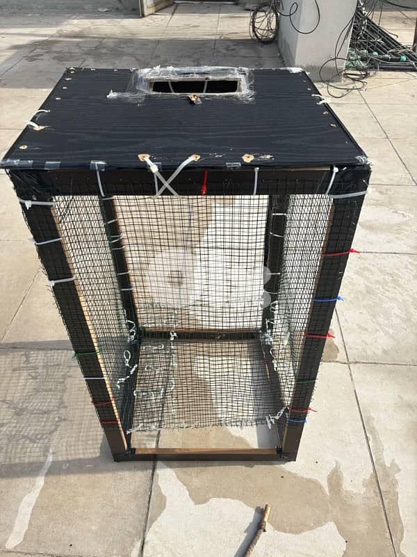New Bird cage 6