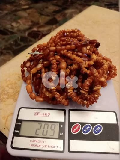 طرابلس لبنان المينا