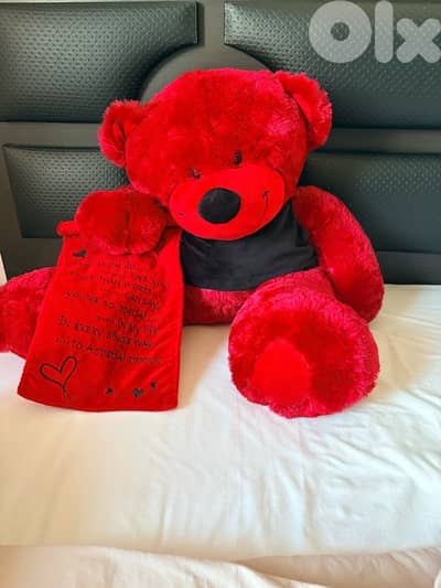 Big love teddy bear