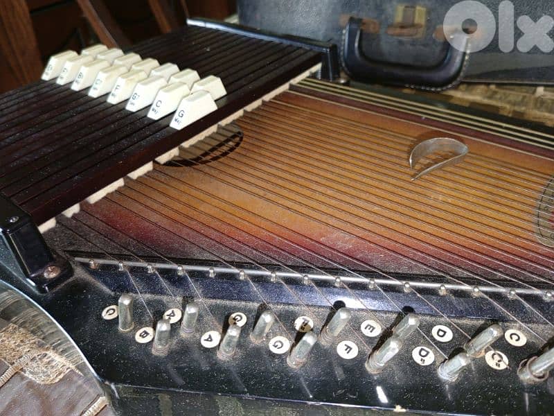 old harp 80 years 1