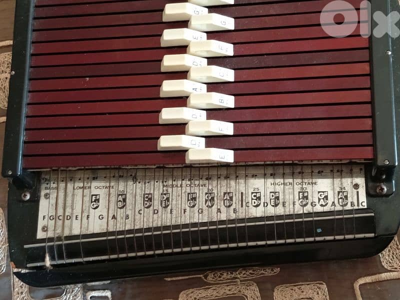 old harp 80 years 6