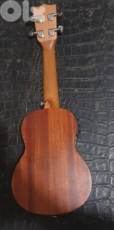 Ukulele Guitarist Electro-Acoustic 1