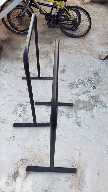 Parallel Dips for calisthenics 2