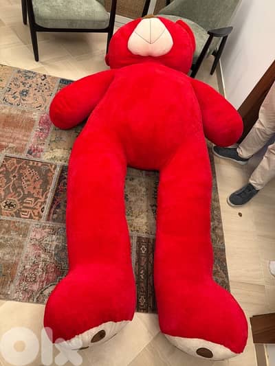 Teddy bear