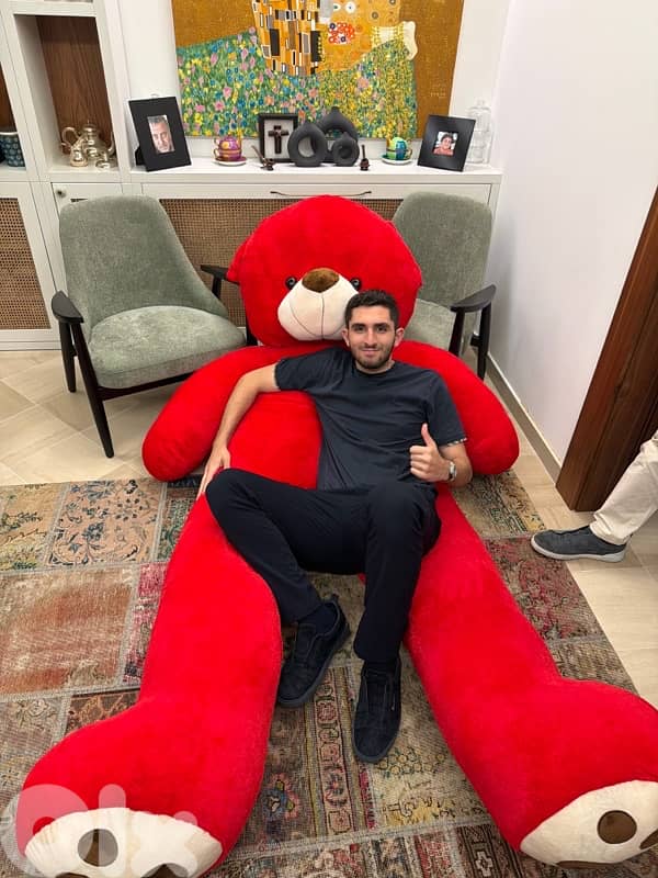 Teddy bear 2