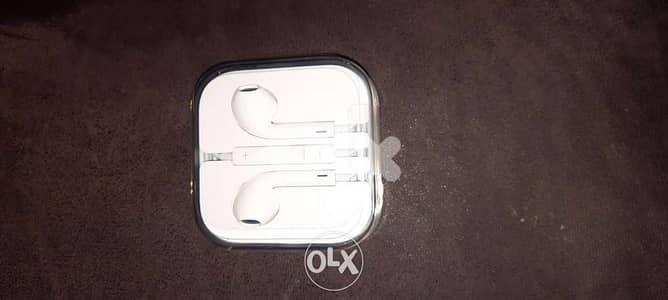 Apple original earphones wired.