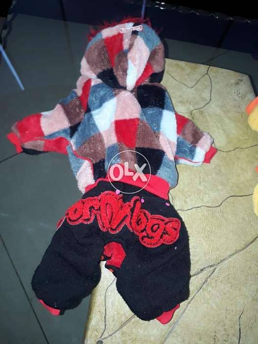 for dog 1