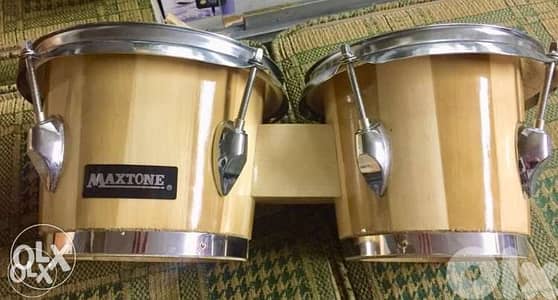 bongos Maxtone new بنكوز