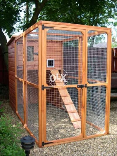 Outdoor cats home