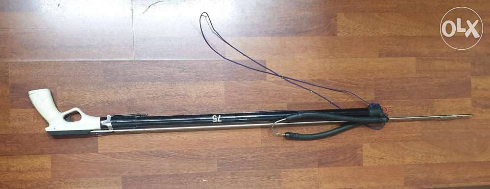 Spear fishing 1