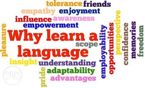 English Teacher ( American accent)
