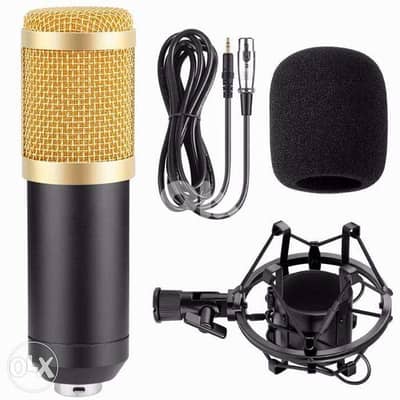 studio recording microphone with cable and windscreen