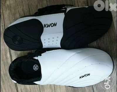 Taekwondo shoes (move) KWON