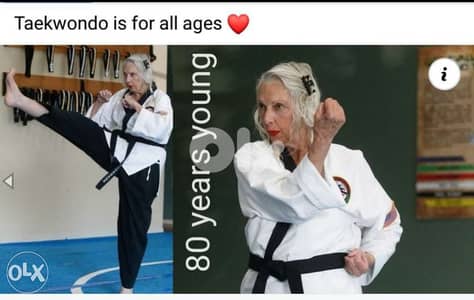 Cours particuliers de TAEKWONDO