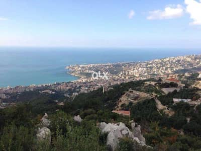 10,437 sqm Land in Chnaniir, Keserwan with View