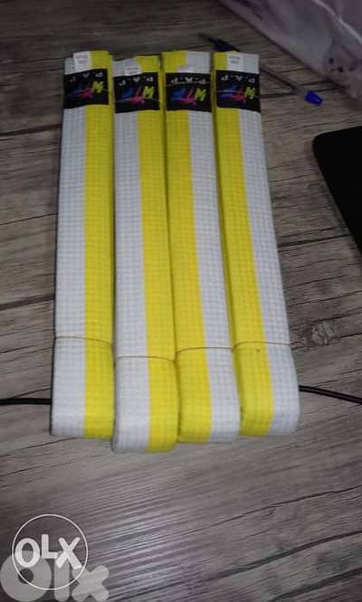 Taekwondo belt