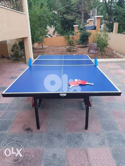 Ping pong table