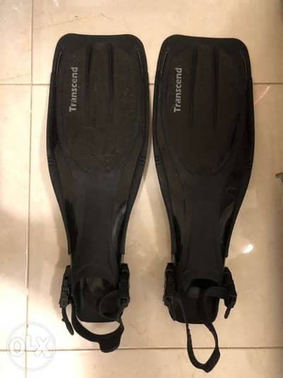 Transcend fins