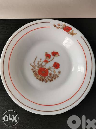 12 Vintage Arcopal milk glass dinner plates