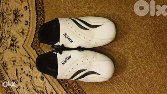 Taekwondo shoes