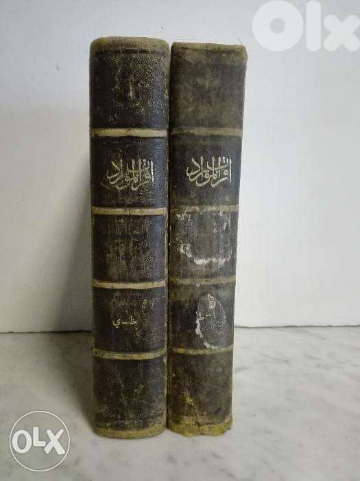 كتاب اقرب الموارد في فصح العربية و السوارد 1889 1