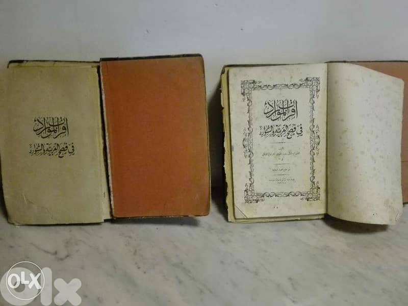 كتاب اقرب الموارد في فصح العربية و السوارد 1889 2