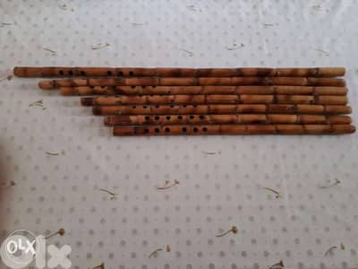 Nay - complete set