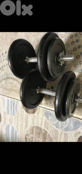 2 axe dumbells plus 30 kg rubber plates 03027072 GEO SPORTS