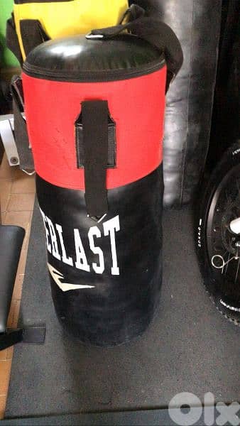 Boxing bag Everlast Heavy-duty with warranty 03027072 GEO SPORTS