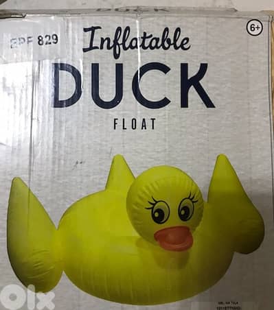 inflatable duck float 6 years