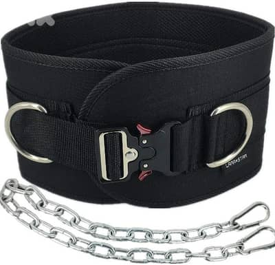 LARASTAR Weight Bearing Belt