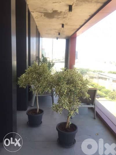 Minimalist one level with Terrace view of the Sea
