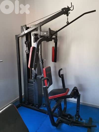 All in 1 Homegym BODYSYSTEM 100 KG  03027072 GEO SPORTS