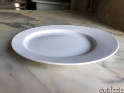 1 Dozen Plates Ovale ( New ! )