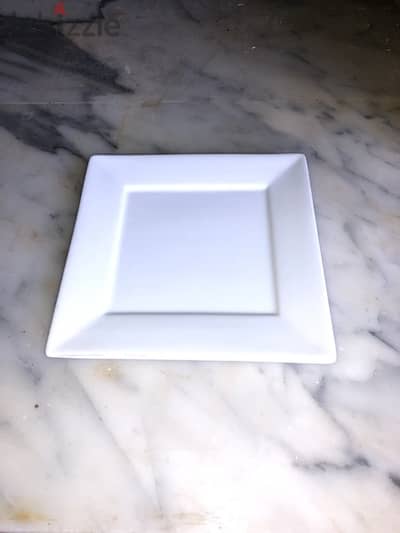 1 Dozen Plates Square( New ! )